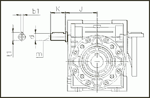 Двухсторонний входной вал